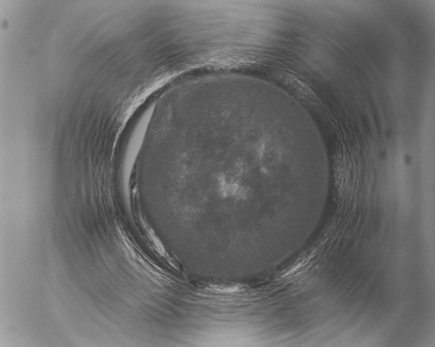 X0000057080488200509231628