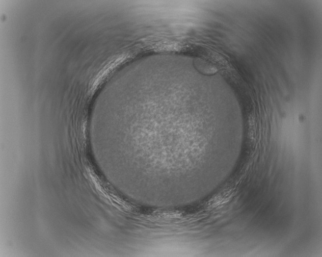 X0000057080491200509231628