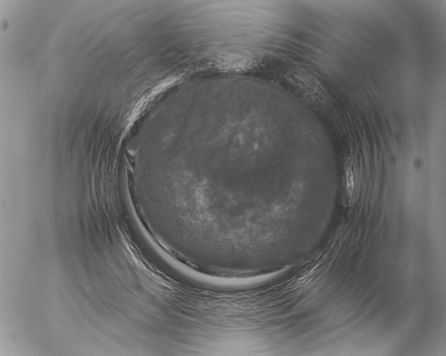 X0000057080492200509231628