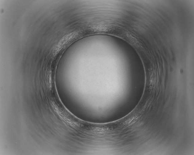 X0000057080494200509231627