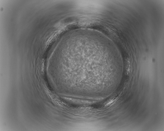 X0000057080495200509231627