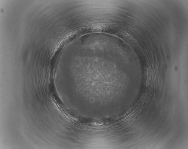 X0000057080496200509231627