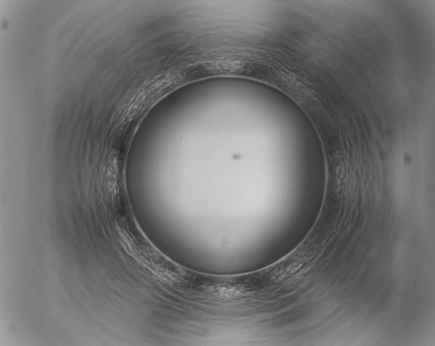 X0000057080498200509231627