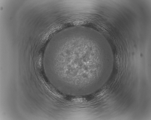 X0000057080499200509231627