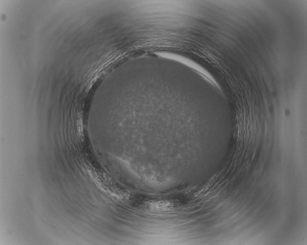 X0000057080500200509231627