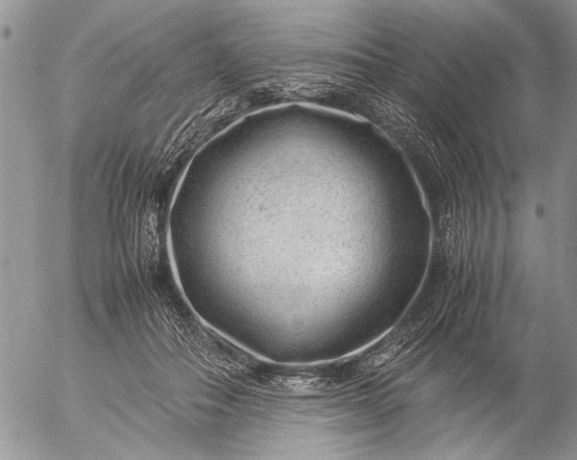 X0000057080506200509231627