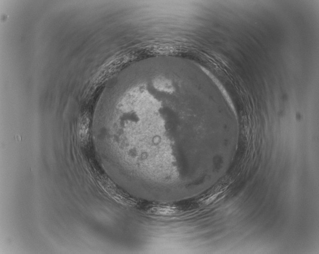 X0000057080507200509231627