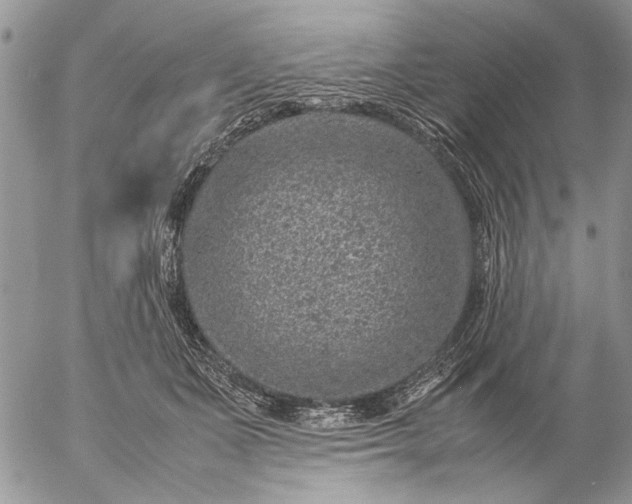 X0000057080511200509231627