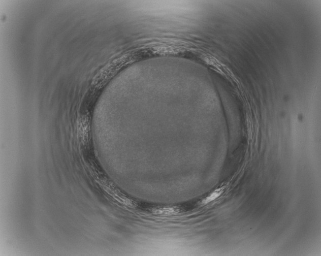 X0000057080513200509231627