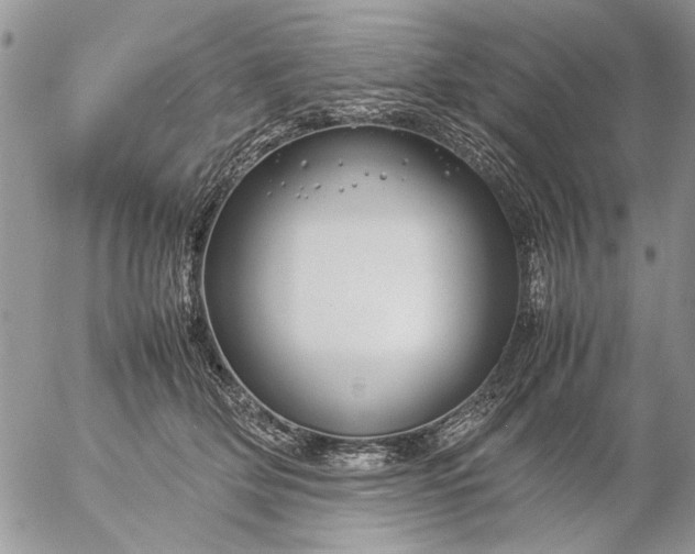 X0000057080514200509231627