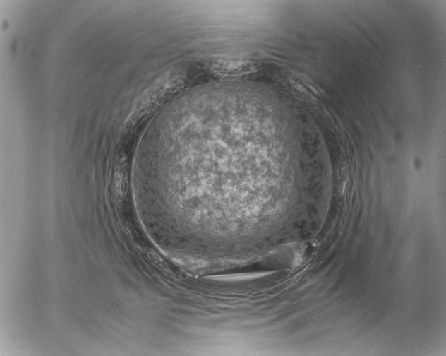 X0000057080515200509231627