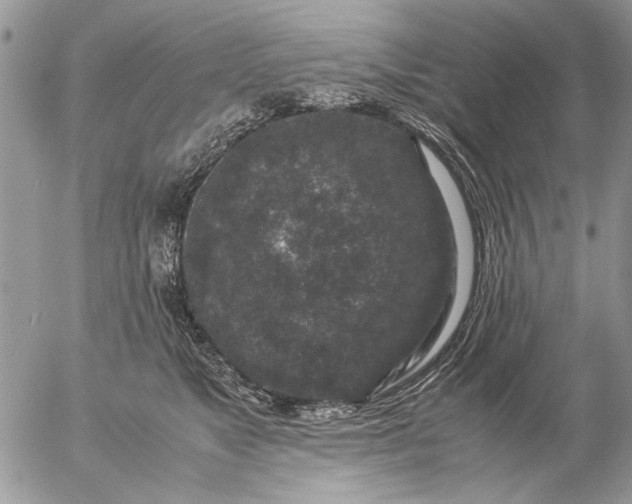 X0000057080517200509231627