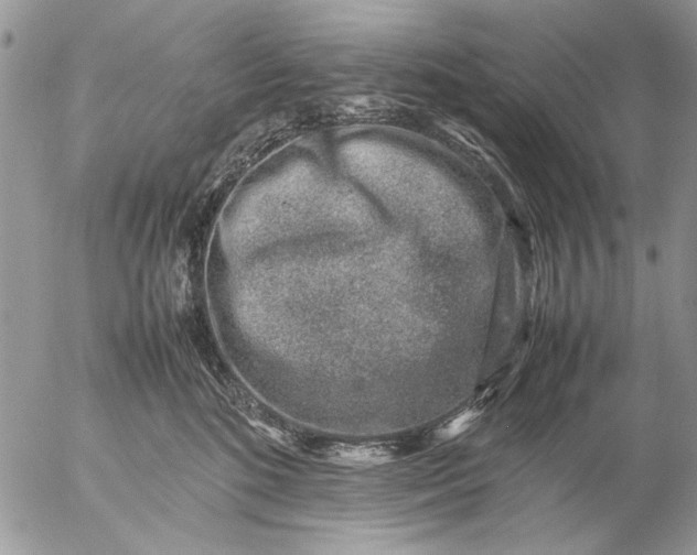 X0000057080520200509231627