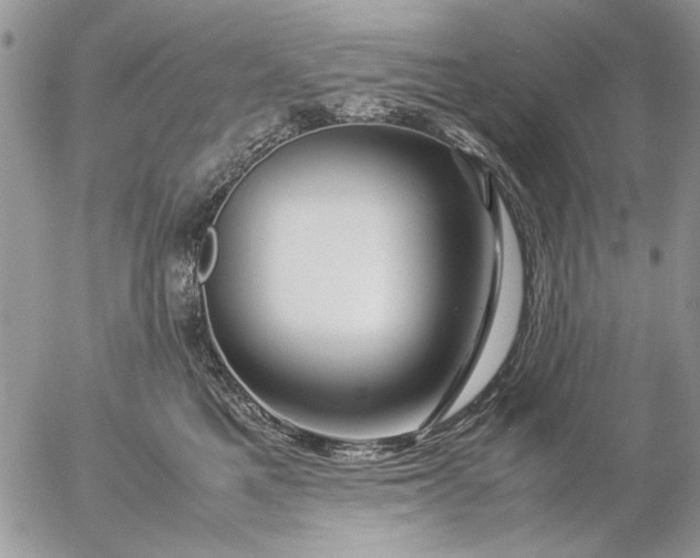 X0000057080521200509231627