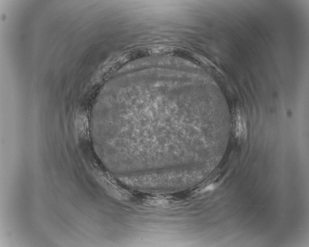 X0000057080523200509231627