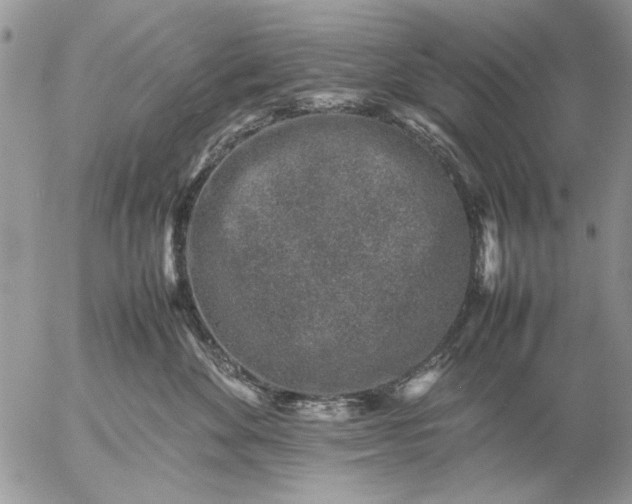 X0000057080524200509231627