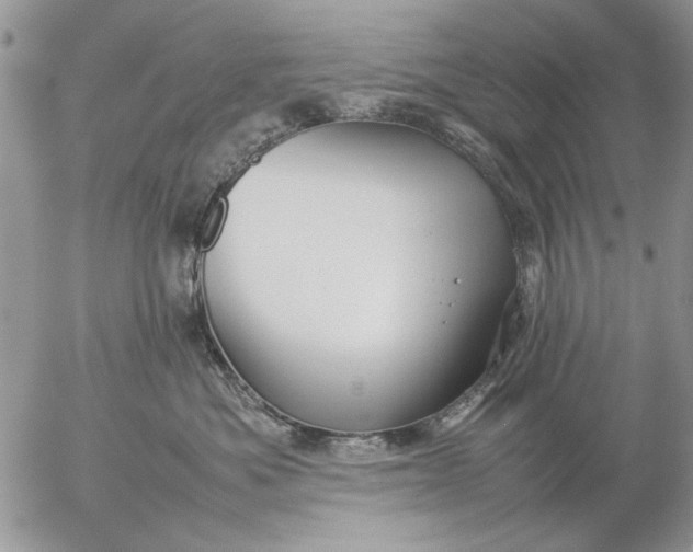 X0000057080525200509231627