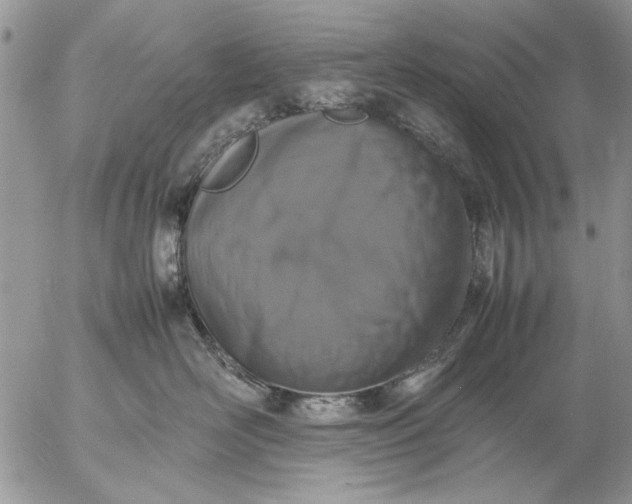 X0000057080526200509231627