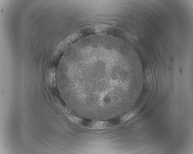 X0000057080527200509231627