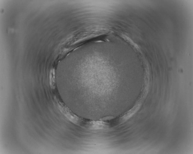 X0000057080528200509231627