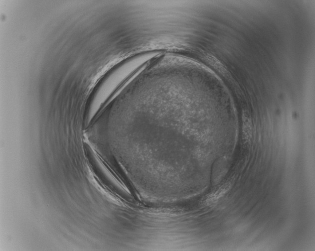 X0000057080530200509231626