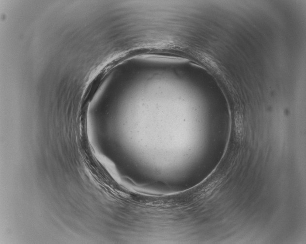 X0000057080532200509231626