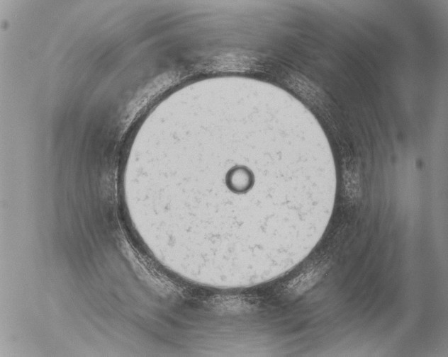 X0000057080534200509231626