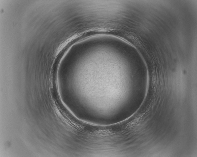 X0000057080536200509231626