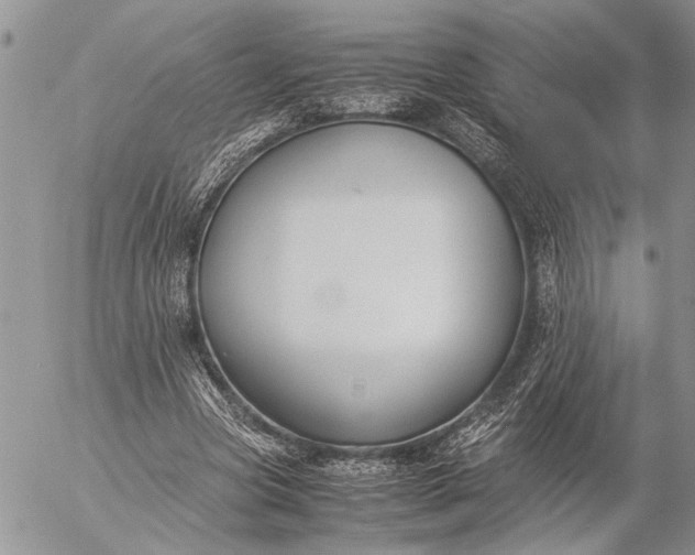 X0000057080537200509231626