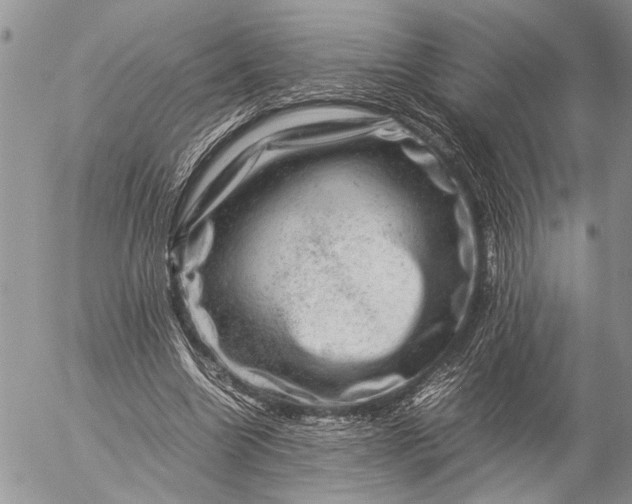 X0000057080538200509231626