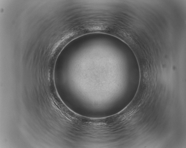 X0000057080539200509231626