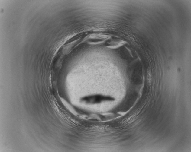 X0000057080540200509231626