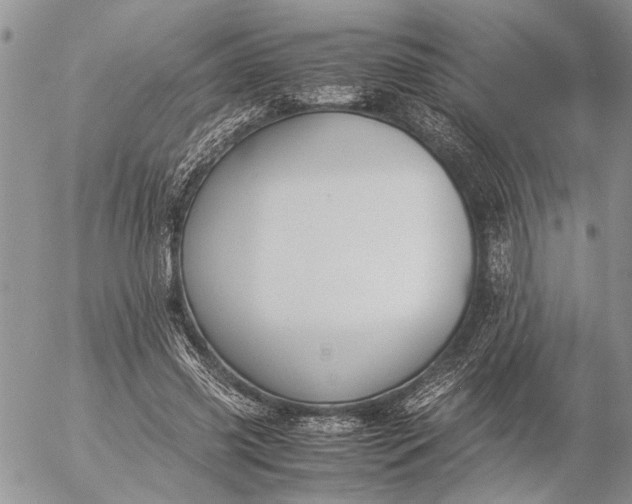 X0000057080541200509231626