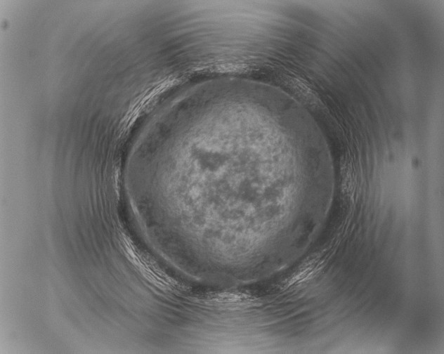 X0000057080542200509231626