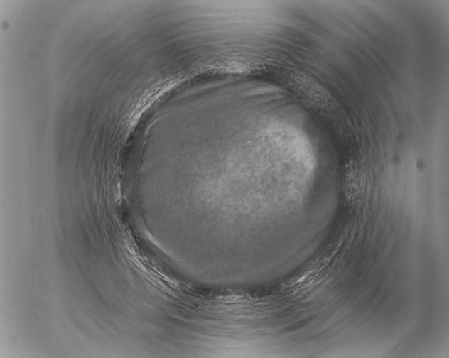 X0000057080544200509231626