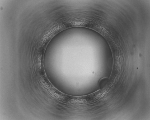 X0000057080545200509231626