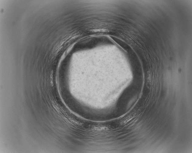 X0000057080547200509231626