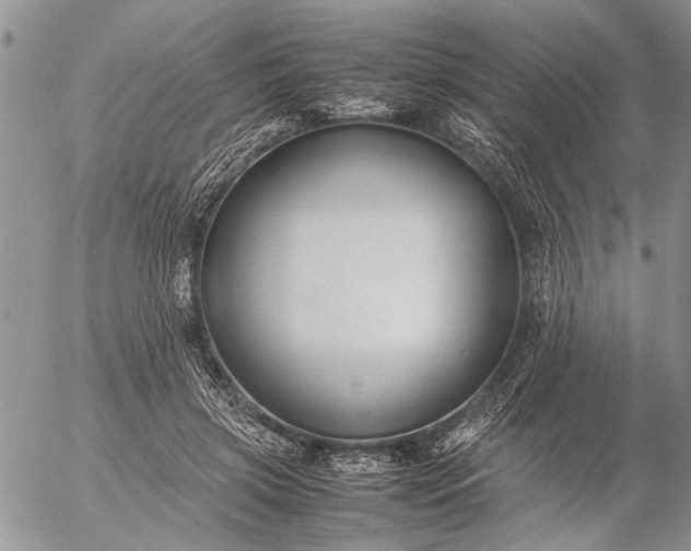 X0000057080549200509231626