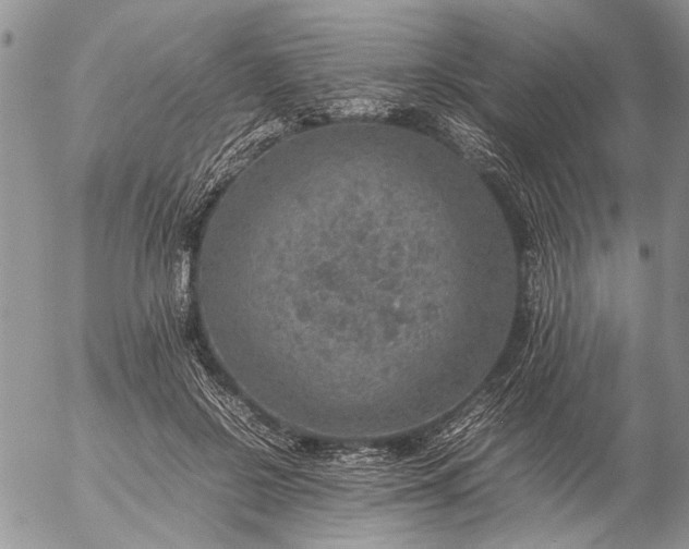 X0000057080550200509231626