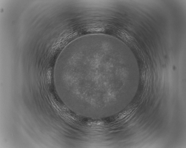 X0000057080551200509231626