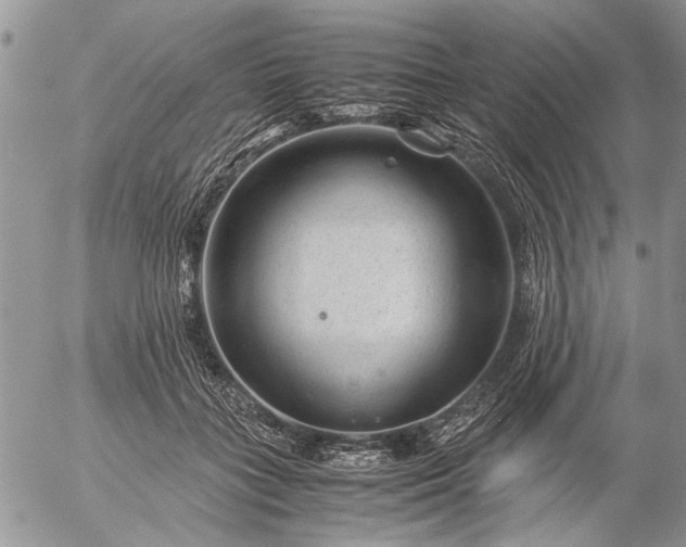 X0000057080555200509231627