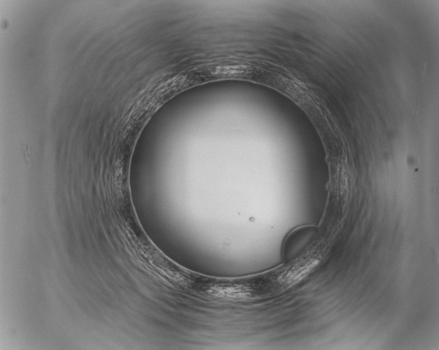 X0000057080557200509231627