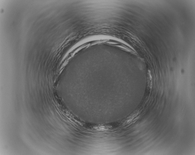 X0000057080558200509231627