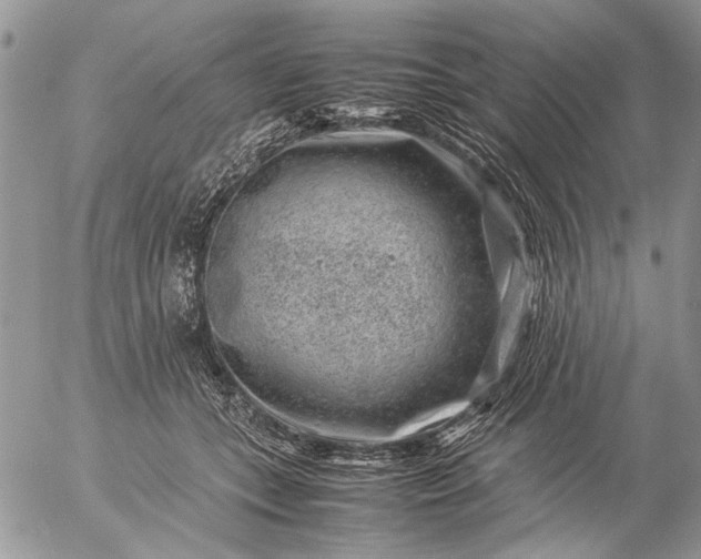 X0000057080559200509231627