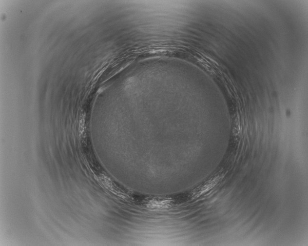 X0000057080560200509231627