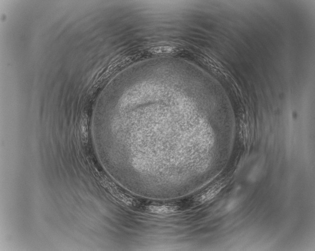 X0000057080561200509231627