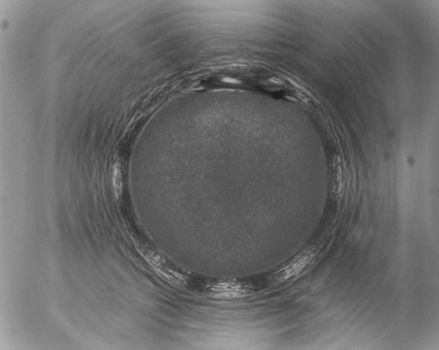 X0000057080562200509231627