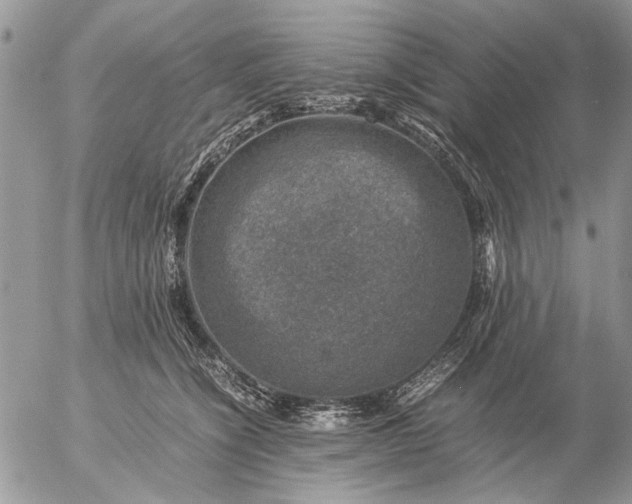 X0000057080564200509231627