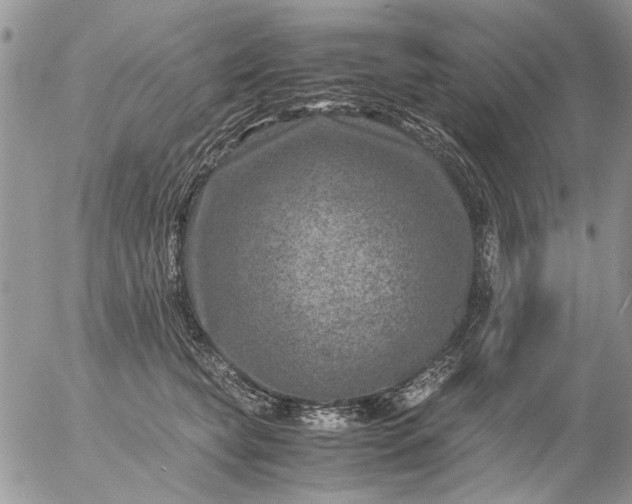 X0000057080565200509231627