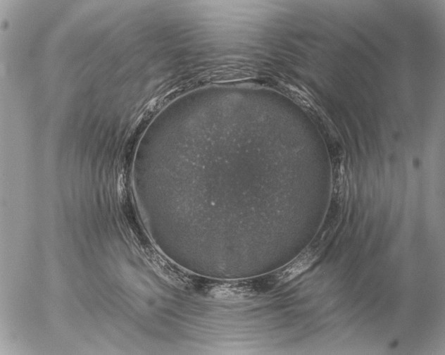 X0000057080568200509231627